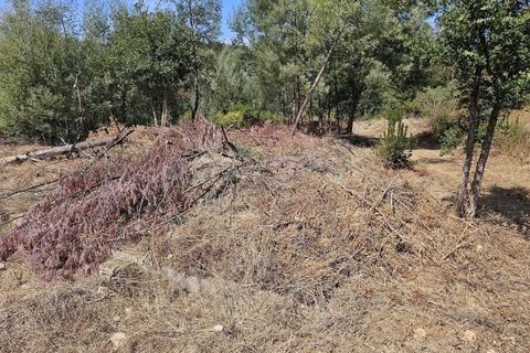 Helårsgrund i Arganil, Coimbra, Arganil - € 29.500 | Ref: RR96415 - foto 13