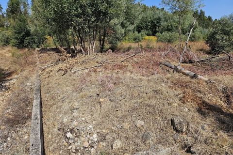 Helårsgrund i Arganil, Coimbra, Arganil - € 29.500 | Ref: RR96415 - foto 14
