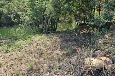 Helårsgrund i Arganil, Coimbra, Arganil - € 29.500 | Ref: RR96415 - foto 18