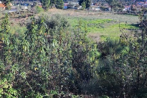 Helårsgrund i Castelo Branco, Castelo Branco, Castelo Branco - € 14.000 | Ref: CB96590MA - foto 5