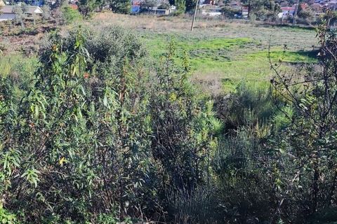 Helårsgrund i Castelo Branco, Castelo Branco, Castelo Branco - € 14.000 | Ref: CB96590MA - foto 7