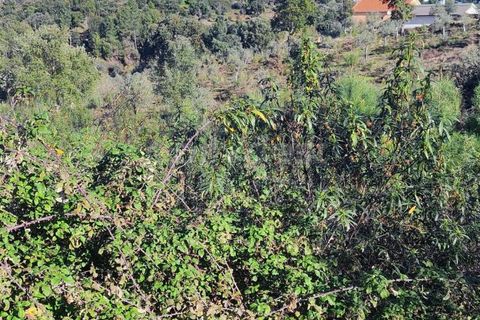 Helårsgrund i Castelo Branco, Castelo Branco, Castelo Branco - € 14.000 | Ref: CB96590MA - foto 8