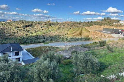Helårsgrund i Torre de Moncorvo, Braganca, Torre de Moncorvo - € 29.500 | Ref: BG96392TM - foto 2