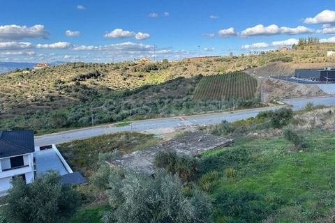 Helårsgrund i Torre de Moncorvo, Braganca, Torre de Moncorvo - € 29.500 | Ref: BG96392TM - foto 3