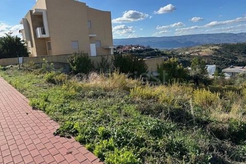 Helårsgrund i Torre de Moncorvo, Braganca, Torre de Moncorvo - € 29.500 | Ref: BG96392TM - foto 10