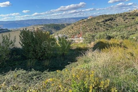 Helårsgrund i Torre de Moncorvo, Braganca, Torre de Moncorvo - € 29.500 | Ref: BG96392TM - foto 14