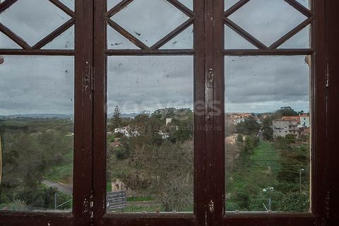 Villa i Sintra, Lisbon, Sintra - € 1.565.000 | Ref: PF96564JT - foto 38
