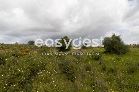 Helårsgrund i Castro Marim, Faro, Castro Marim - € 120.000 | Ref: AL94944TV - foto 9