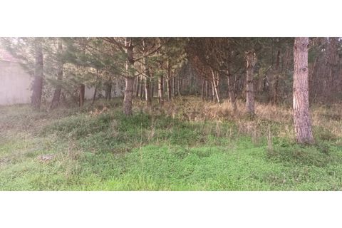 Helårsgrund i Leiria, Leiria, Leiria - € 65.000 | Ref: LE96492NZ - foto 1