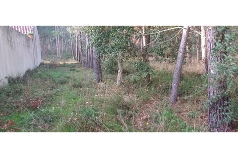 Helårsgrund i Leiria, Leiria, Leiria - € 65.000 | Ref: LE96492NZ - foto 2