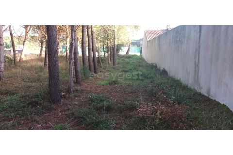 Helårsgrund i Leiria, Leiria, Leiria - € 65.000 | Ref: LE96492NZ - foto 3