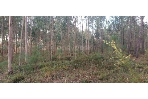 Helårsgrund i Leiria, Leiria, Leiria - € 65.000 | Ref: LE96492NZ - foto 4