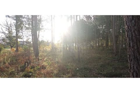 Helårsgrund i Leiria, Leiria, Leiria - € 65.000 | Ref: LE96492NZ - foto 5