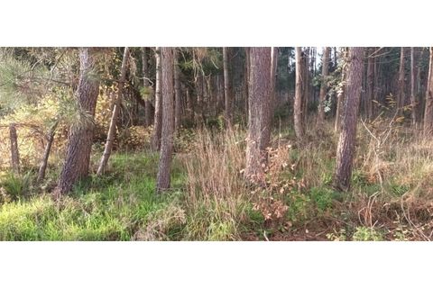 Helårsgrund i Leiria, Leiria, Leiria - € 65.000 | Ref: LE96492NZ - foto 6