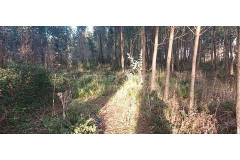 Helårsgrund i Leiria, Leiria, Leiria - € 65.000 | Ref: LE96492NZ - foto 9