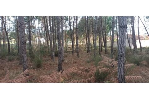Helårsgrund i Leiria, Leiria, Leiria - € 65.000 | Ref: LE96492NZ - foto 16