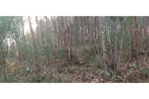 Helårsgrund i Leiria, Leiria, Leiria - € 65.000 | Ref: LE96492NZ - foto 17