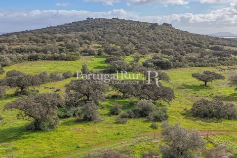 Landejendom i Elvas, Portalegre, Elvas - € 750.000 | Ref: FG1025 - foto 7