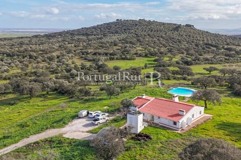 Landejendom i Elvas, Portalegre, Elvas - € 750.000 | Ref: FG1025 - foto 50