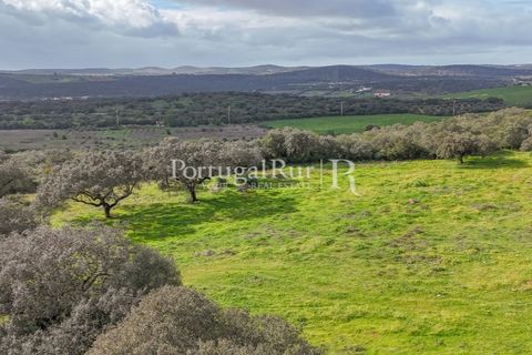 Landejendom i Elvas, Portalegre, Elvas - € 750.000 | Ref: FG1025 - foto 9