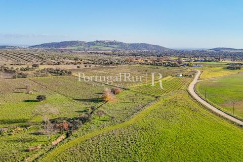 Helårsgrund i Evora, Evora, Evora - € 75.000 | Ref: JFM54 - foto 2
