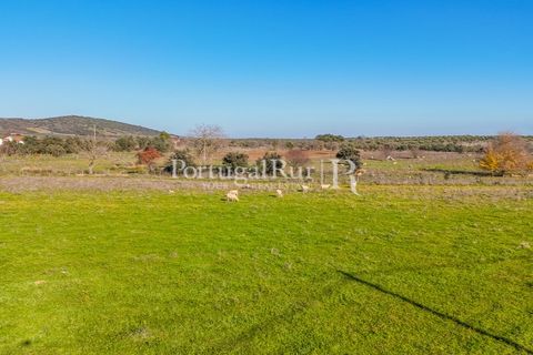 Helårsgrund i Evora, Evora, Evora - € 75.000 | Ref: JFM54 - foto 4