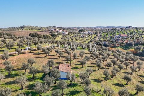 Masia a Redondo, Evora, Redondo - € 150.000 | Ref: JFM851 - foto 16