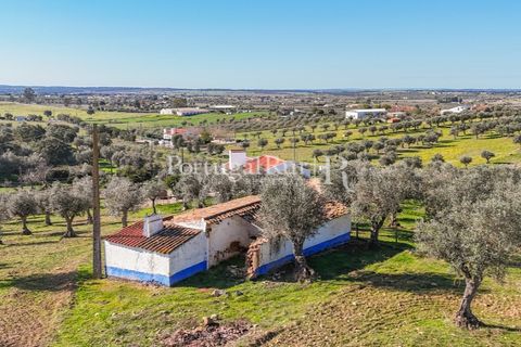Masia a Redondo, Evora, Redondo - € 150.000 | Ref: JFM851 - foto 6