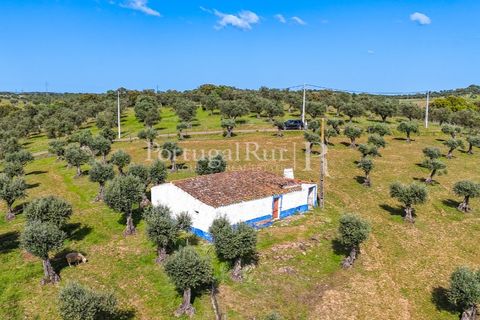 Masia a Redondo, Evora, Redondo - € 150.000 | Ref: JFM851 - foto 2