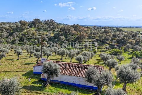 Masia a Redondo, Evora, Redondo - € 150.000 | Ref: JFM851 - foto 4