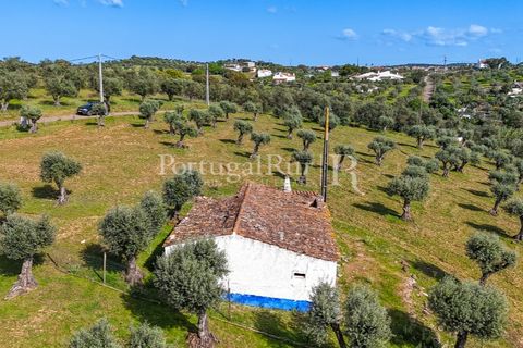 Masia a Redondo, Evora, Redondo - € 150.000 | Ref: JFM851 - foto 7