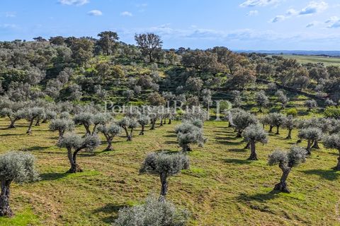 Masia a Redondo, Evora, Redondo - € 150.000 | Ref: JFM851 - foto 9