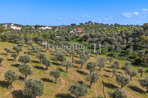 Masia a Redondo, Evora, Redondo - € 150.000 | Ref: JFM851 - foto 10