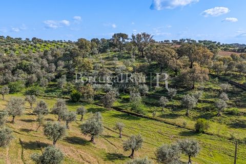 Masia a Redondo, Evora, Redondo - € 150.000 | Ref: JFM851 - foto 11