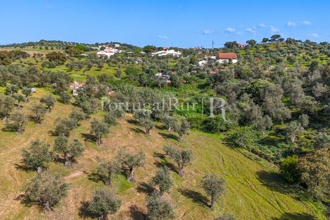 Masia a Redondo, Evora, Redondo - € 150.000 | Ref: JFM851 - foto 12