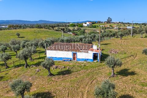 Masia a Redondo, Evora, Redondo - € 150.000 | Ref: JFM851 - foto 15