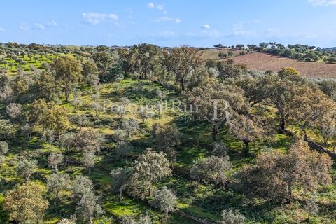 Masia a Redondo, Evora, Redondo - € 150.000 | Ref: JFM851 - foto 18