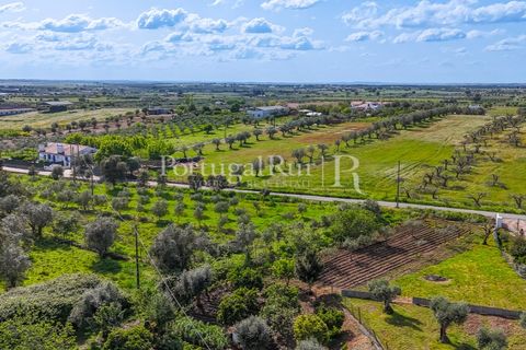 Masia a Redondo, Evora, Redondo - € 150.000 | Ref: JFM851 - foto 19