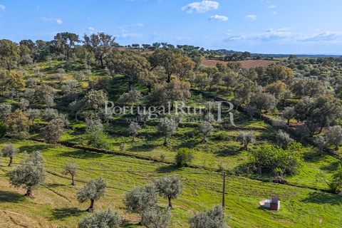 Masia a Redondo, Evora, Redondo - € 150.000 | Ref: JFM851 - foto 20