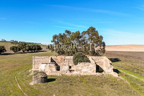 Farm i Castro Verde, Beja, Castro Verde - € 348.000 | Ref: FG376 - foto 1