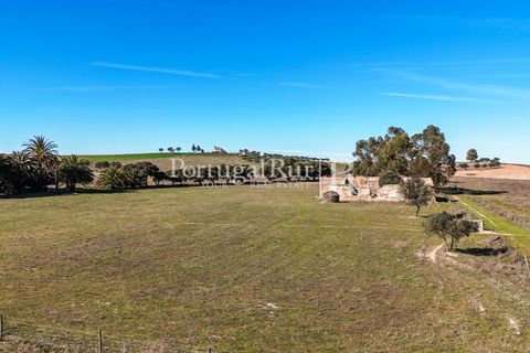 Farm i Castro Verde, Beja, Castro Verde - € 348.000 | Ref: FG376 - foto 3