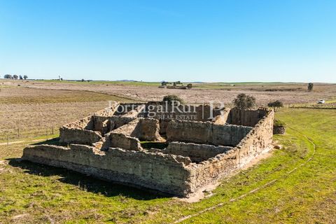 Farm i Castro Verde, Beja, Castro Verde - € 348.000 | Ref: FG376 - foto 4