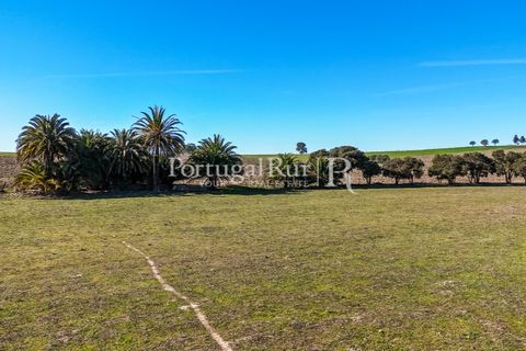 Farm i Castro Verde, Beja, Castro Verde - € 348.000 | Ref: FG376 - foto 5
