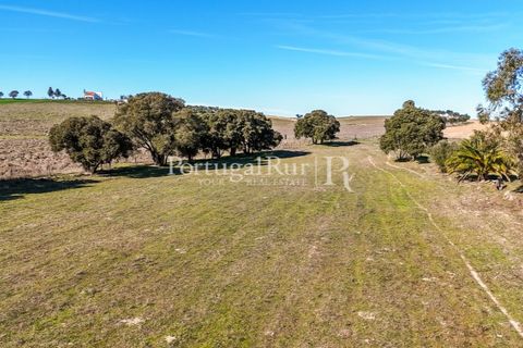 Farm i Castro Verde, Beja, Castro Verde - € 348.000 | Ref: FG376 - foto 6