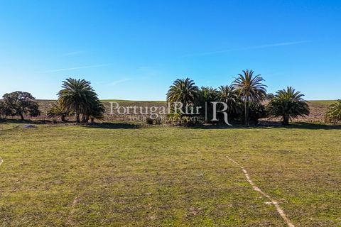 Farm i Castro Verde, Beja, Castro Verde - € 348.000 | Ref: FG376 - foto 7