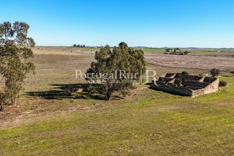 Farm i Castro Verde, Beja, Castro Verde - € 348.000 | Ref: FG376 - foto 8