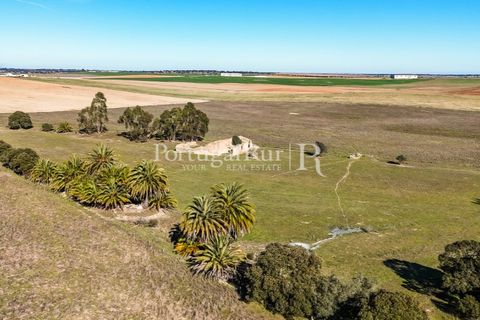 Farm i Castro Verde, Beja, Castro Verde - € 348.000 | Ref: FG376 - foto 9