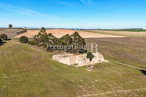 Farm i Castro Verde, Beja, Castro Verde - € 348.000 | Ref: FG376 - foto 11