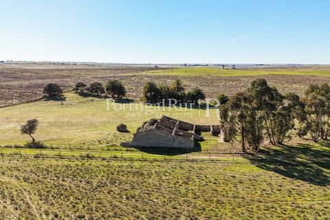 Farm i Castro Verde, Beja, Castro Verde - € 348.000 | Ref: FG376 - foto 12
