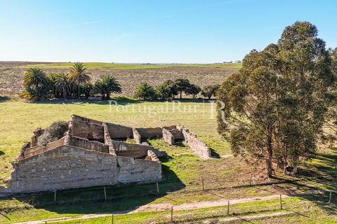 Farm i Castro Verde, Beja, Castro Verde - € 348.000 | Ref: FG376 - foto 13